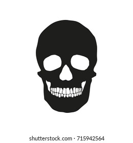 human remains of the skeleton of the skull
