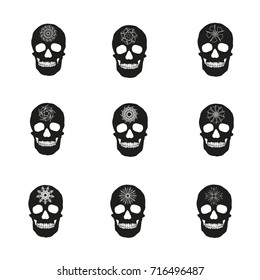 human remains of the skeleton of the skull