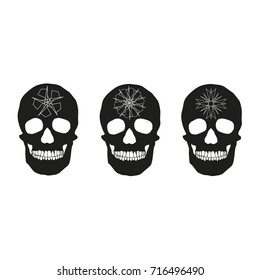 human remains of the skeleton of the skull