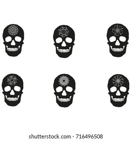 human remains of the skeleton of the skull