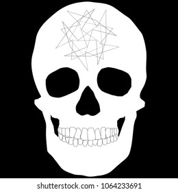 human remains skeleton of the skull bones