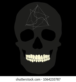 human remains skeleton of the skull bones