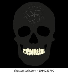 human remains skeleton of the skull bones