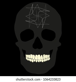 human remains skeleton of the skull bones