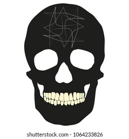 human remains skeleton of the skull bones