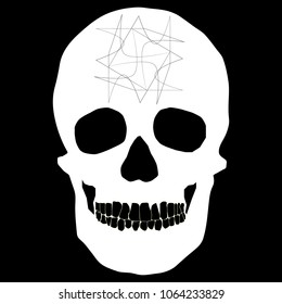 human remains skeleton of the skull bones