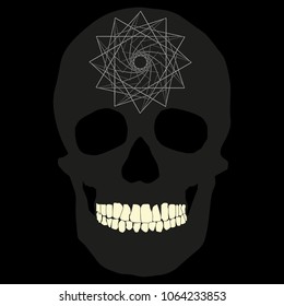 human remains skeleton of the skull bones