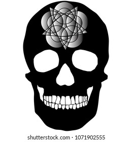 human remains skeleton of the skull bones