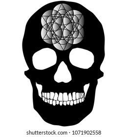 human remains skeleton of the skull bones