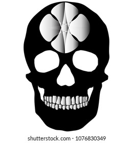 human remains skeleton of the skull bones