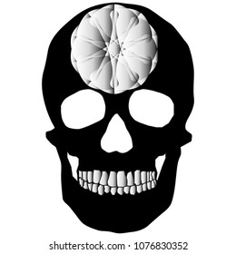 human remains skeleton of the skull bones