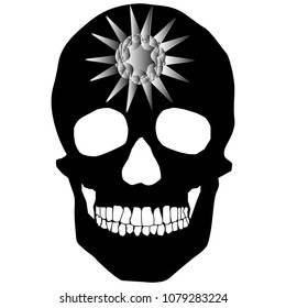 human remains skeleton of the skull bones