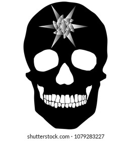 human remains skeleton of the skull bones