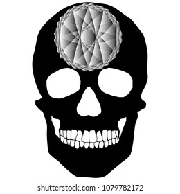 human remains skeleton of the skull bones