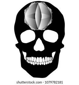 human remains skeleton of the skull bones