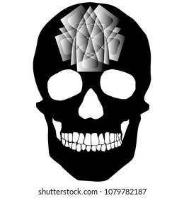 human remains skeleton of the skull bones