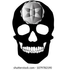 human remains skeleton of the skull bones