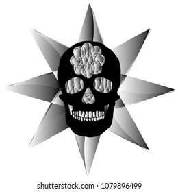 human remains skeleton of the skull bones