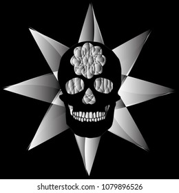 human remains skeleton of the skull bones
