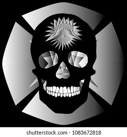 human remains skeleton of the skull bones