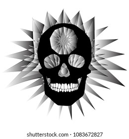 human remains skeleton of the skull bones