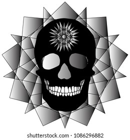 human remains skeleton of the skull bones