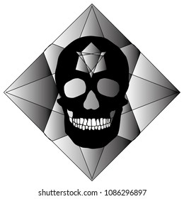 human remains skeleton of the skull bones