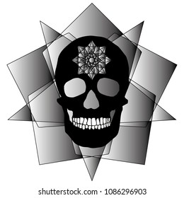 human remains skeleton of the skull bones