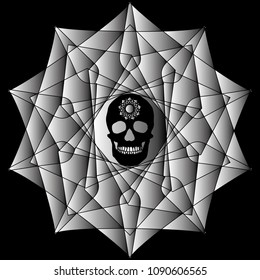 human remains skeleton of the skull bones