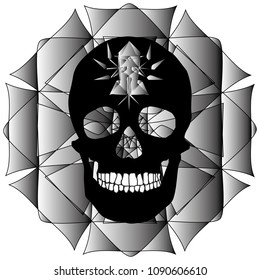 human remains skeleton of the skull bones