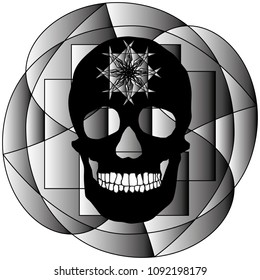 human remains skeleton of the skull bones