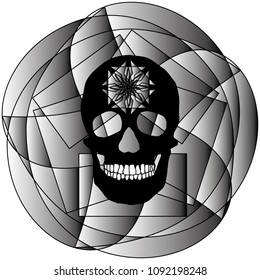human remains skeleton of the skull bones