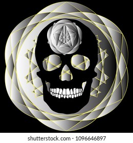 human remains skeleton of the skull bones