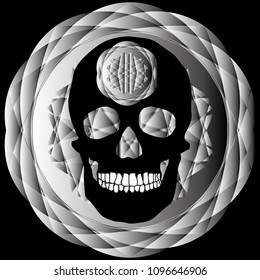 human remains skeleton of the skull bones