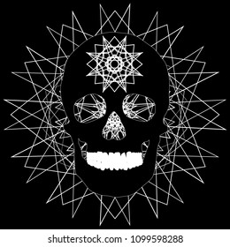 human remains skeleton of the skull bones