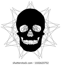 human remains skeleton of the skull bones