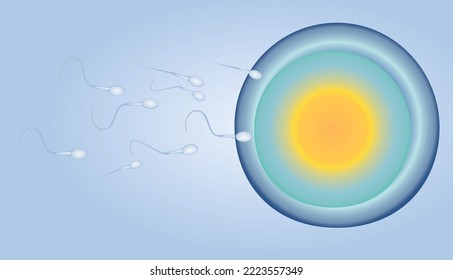 Concepto de reproducción humana. ilustración vectorial