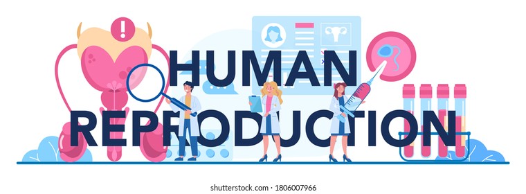Human reproduction typographic header. Human anatomy, biological material research. Pregnancy monitoring and medical diagnosis. Isolated illustration in cartoon style
