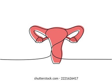 Sistema reproductivo humano de una línea de dibujo continuo. Ilustración continua colorida de una línea en órganos humanos. Ilustración lineal vectorial.