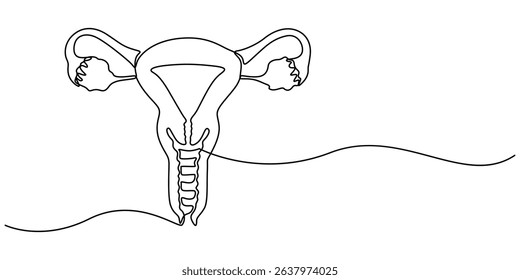 Human reproductive system one line continuous drawing. Human organ continuous one line illustration. Vector minimalist linear illustration, One continuous line drawing of woman uterus. Ovary and womb.