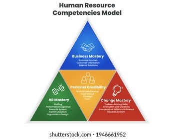 Human Resource Competencies Model Into Pyramid Stock Vector (Royalty ...