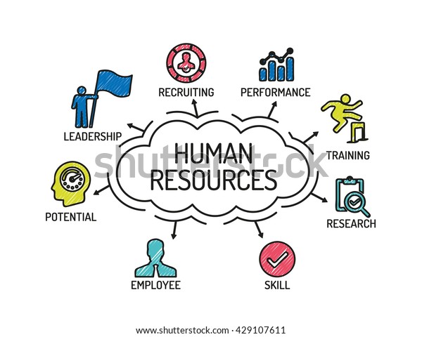 human-resources-chart-keywords-icons-sketch-stock-vector-royalty-free