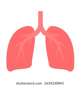 Human respiratory graphic. Healthy human lung clip art cartoon style vector illustration. Human lung vector for digital or printable purpose on white background