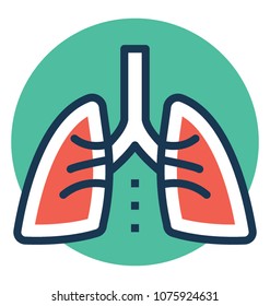 
Human respiratory organ, lungs
