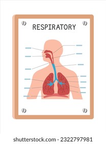 Estilo de caricatura de caricaturas de carteles del sistema respiratorio humano, diseño vectorial. Uso en el concepto de caricatura de carteles en hospitales o clínicas. Estilo de caricatura del diagrama de sistemas respiratorios. Departamento de hospitales y clínicas co