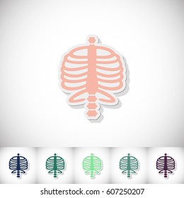 Human rib cage. Flat sticker with shadow on white background. Vector illustration