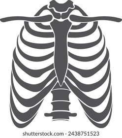 Human rib cage silhouette. Upper body skeleton