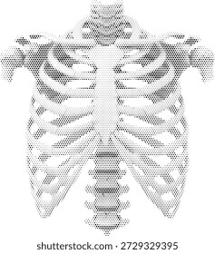 Anatomía del esqueleto de la jaula de la costilla humana en estilo médico monótono medio