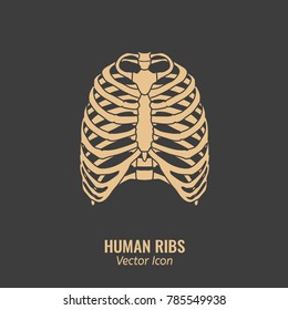 Human ribs icon. Chest image in a flat style. Vector illustration in beige colour isolated on a dark grey background.