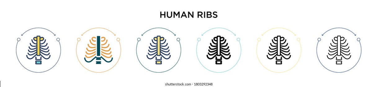 Human ribs icon in filled, thin line, outline and stroke style. Vector illustration of two colored and black human ribs vector icons designs can be used for mobile, ui, web